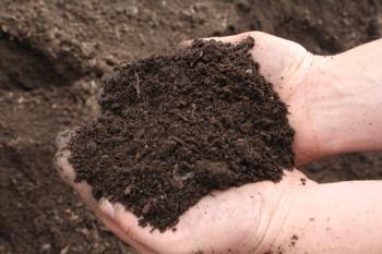 Organic Premium Compost - $60 per yard