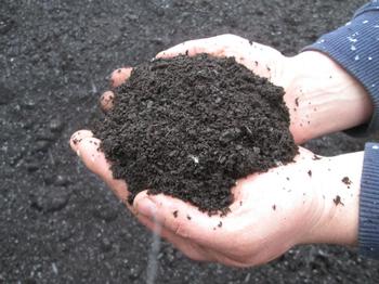 All Organic Compost & Biochar Mix - $85 per yard
